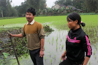 Nỗi đau và khát vọng vươn lên (Kỳ 1)