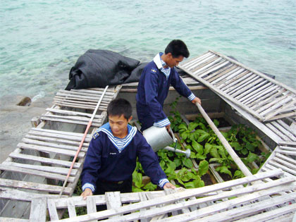 Che nắng, chắn gió ở Trường Sa