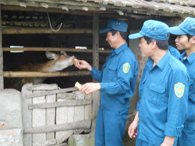 Thôn đội trưởng làm kinh tế giỏi