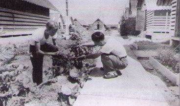 Những ngày chiếu phim ở Trại Đa-vít