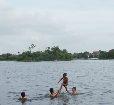 Bài 1: Những cái chết thương tâm và hồi chuông báo động