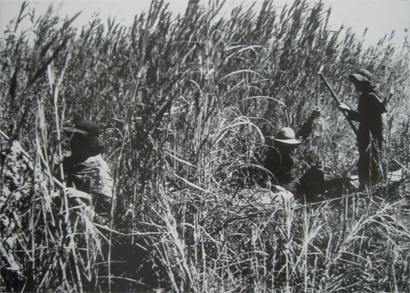 Ba mũi giáp công trong chiến dịch tiến công tổng hợp