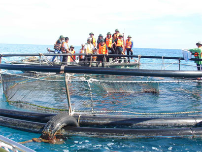 Trường Sa và nỗi nhớ (Tiếp theo và hết)