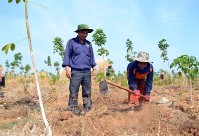 Hành trình về Chăm-pa-sắc (Tiếp theo và hết)