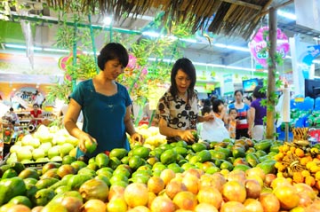 Cần hài hòa chính sách tiền tệ và tài khóa