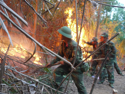 Kiên cường dập tắt 3 đám cháy rừng