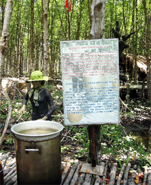 Chưng cất nước ngọt giữa rừng ngập mặn