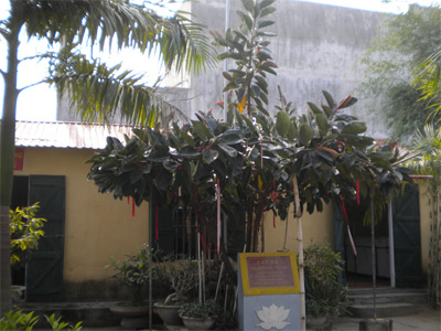 Chuyện chép từ một bảo tàng đặc biệt (tiếp theo và hết)