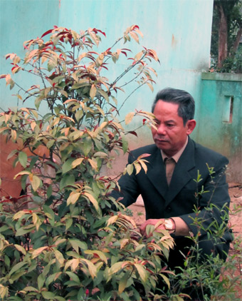 Vào “rừng ma” tìm đồng đội