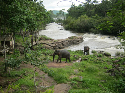 “Bí mật” của quân tình nguyện