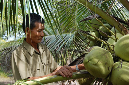 Chuyện vượt khó của ông Sáu Thành