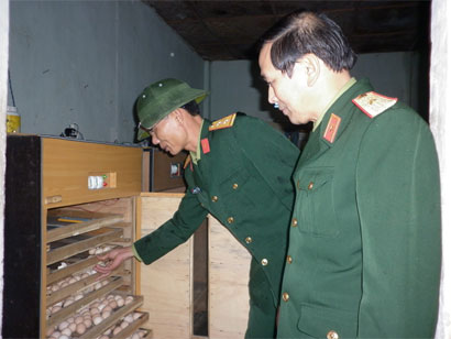 “Hai lúa” thời @