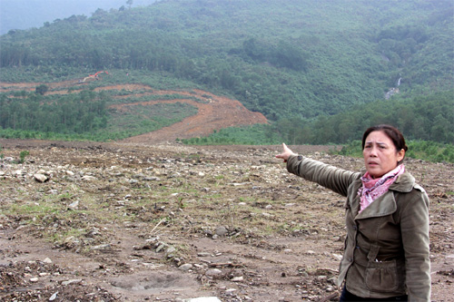 Hà Tĩnh: Công ty tư nhân ngang nhiên phá rừng