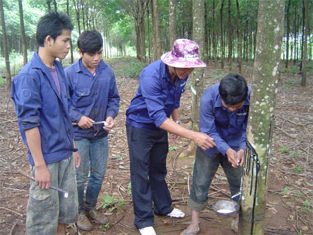 Hợp tác cùng phát triển giữa Tây Nguyên với các tỉnh Đông Bắc Cam-pu-chia