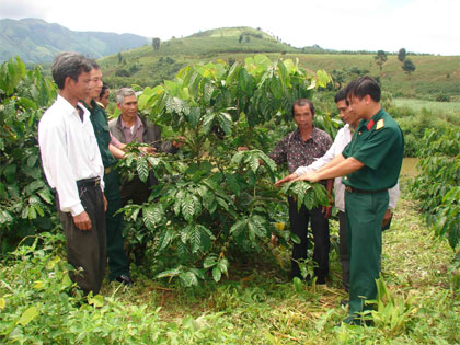 Hành trình mở lối (Tiếp theo và hết)