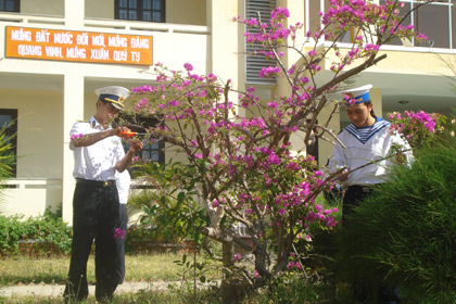 Sắc Xuân ở Trung đoàn 196