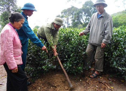 “Anh Hai nông thôn mới”