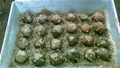 Nhận diện bom mìn, vật nổ