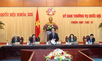 Dự án Luật Việc làm cần đảm bảo tính khả thi