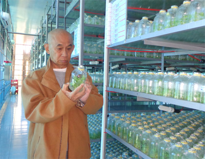 Nhà khoa học áo cà sa