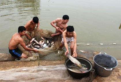 Binh chủng Tăng-Thiết giáp: Thu hơn 4,2 tỷ đồng từ tăng gia sản xuất