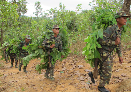 65 mùa Chăm-pa nở hoa (bài 2)