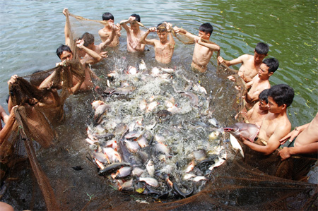 Chế độ, tiêu chuẩn của bộ đội ngày Tết được bảo đảm tốt