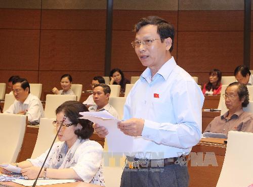 Cần quy định cụ thể hơn về tiêu chuẩn của đại biểu Quốc hội