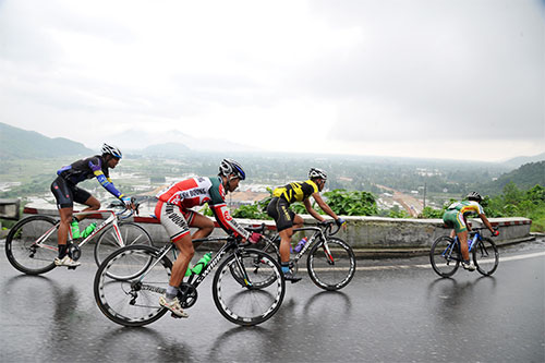 Thưởng thức món… mứt gà