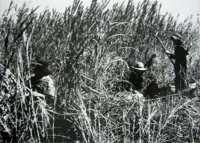 Thắng lợi của chiến dịch tiến công tổng hợp chống phá bình định ở khu 8, đồng bằng Nam Bộ