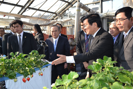 Việt Nam mong muốn phát triển quan hệ hợp tác toàn diện với Nhật Bản