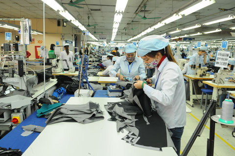 Cần tăng cường nghiên cứu thị trường