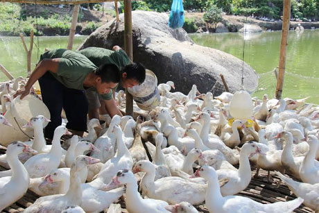 “V-A-C trên núi đá” ở Lữ đoàn 680 Hải quân