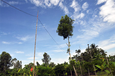 Bao giờ mới chấm dứt tình trạng sử dụng điện 