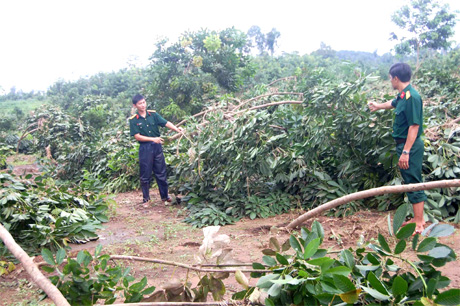 Khẩn trương khắc phục hậu quả