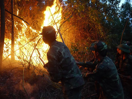 Vì dân chẳng quản gian nguy 
