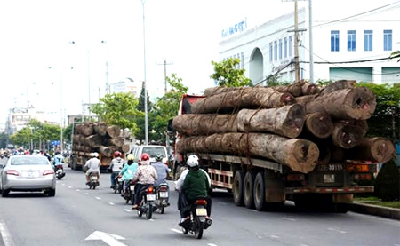 Xử lý gần 59.600 trường hợp vi phạm trật tự, ATGT