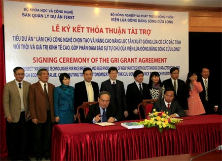 Hơn 3 triệu USD tài trợ nâng cao công nghệ sản xuất lúa