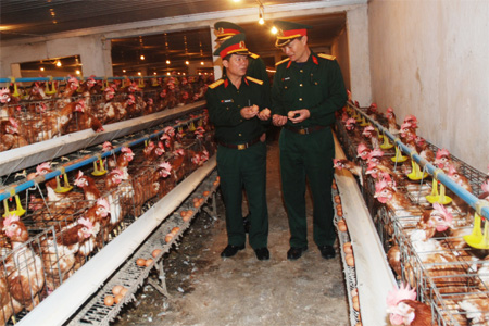 Tăng gia quy mô lớn ở Trung đoàn 102