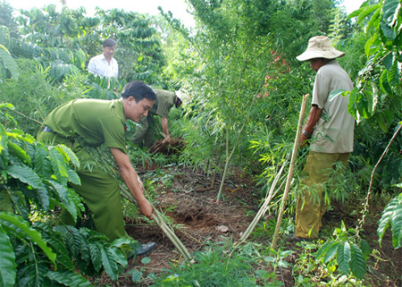Chính phủ đề nghị bổ sung gần 40 tội danh mới
