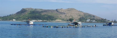 Phát triển phải đi đôi với quản lý