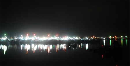 Ngư dân quyết vươn khơi bám biển