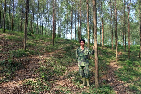 Lê Tiền Phương - người đam mê trồng rừng