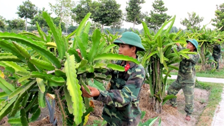 Hiệu quả từ sự sáng tạo trong tăng gia sản xuất