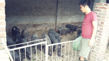 Chàng trai trẻ đam mê chăn nuôi