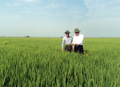 Sự gắn kết cần thiết