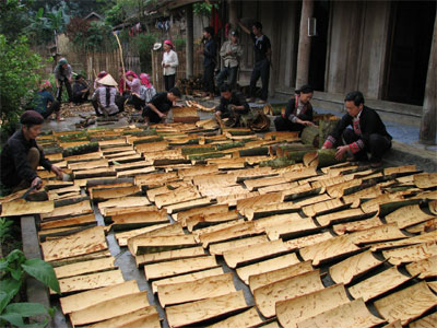 Cây quế giúp đồng bào vùng cao Nậm Khánh thoát nghèo