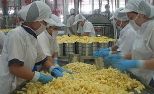 Nhận diện yếu kém của doanh nghiệp Việt Nam