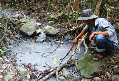 Nhiều hệ lụy cả trước mắt và lâu dài