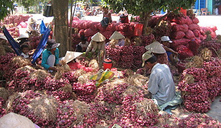 Nông sản trong vòng xoáy rớt giá!